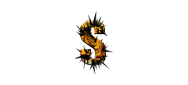 The Skinners