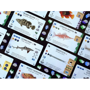 Finspan: Sharks & Reefs (EN)