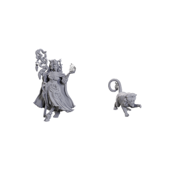 Critical Role Unpainted Miniatures: Fearne Calloway & Mister