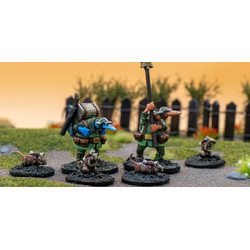 This Quar's War: Crusader Command Specialists